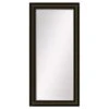 2-Tone Bronze Mirror, 24x58 -Luxeframe Shop 2 tone bronze mirror 24x58 1