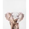 Baby Elephant Canvas Wall Art, 16x20 -Luxeframe Shop baby elephant canvas wall art 16x20 1