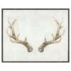 Framed Antler Canvas Wall Art, 20x16 -Luxeframe Shop framed antler canvas wall art 20x16 1