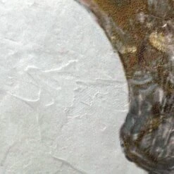 Framed Antler Canvas Wall Art, 20x16 -Luxeframe Shop framed antler canvas wall art 20x16 3