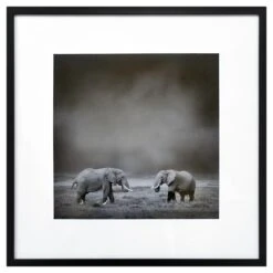 Glass Framed Image Of Elephants Wall Art, 25"