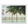 Glass Framed Tropical Print Wall Art, 25x19 -Luxeframe Shop glass framed tropical print wall art 25x19 1