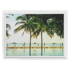 Glass Framed Tropical Print Wall Art, 25x19