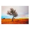 Hakea Tree Canvas Wall Art, 36x24 4 Hakea Tree Canvas Wall Art, 36x24 -Luxeframe Shop hakea tree canvas wall art 36x24 1