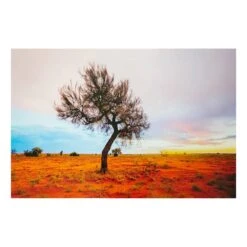Hakea Tree Canvas Wall Art, 36x24