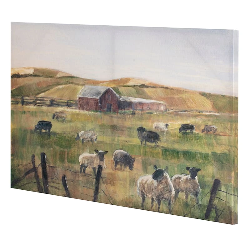 Honeybloom Sheep Canvas Wall Art, 36x24 2 Honeybloom Sheep Canvas Wall Art, 36x24 - Image 2