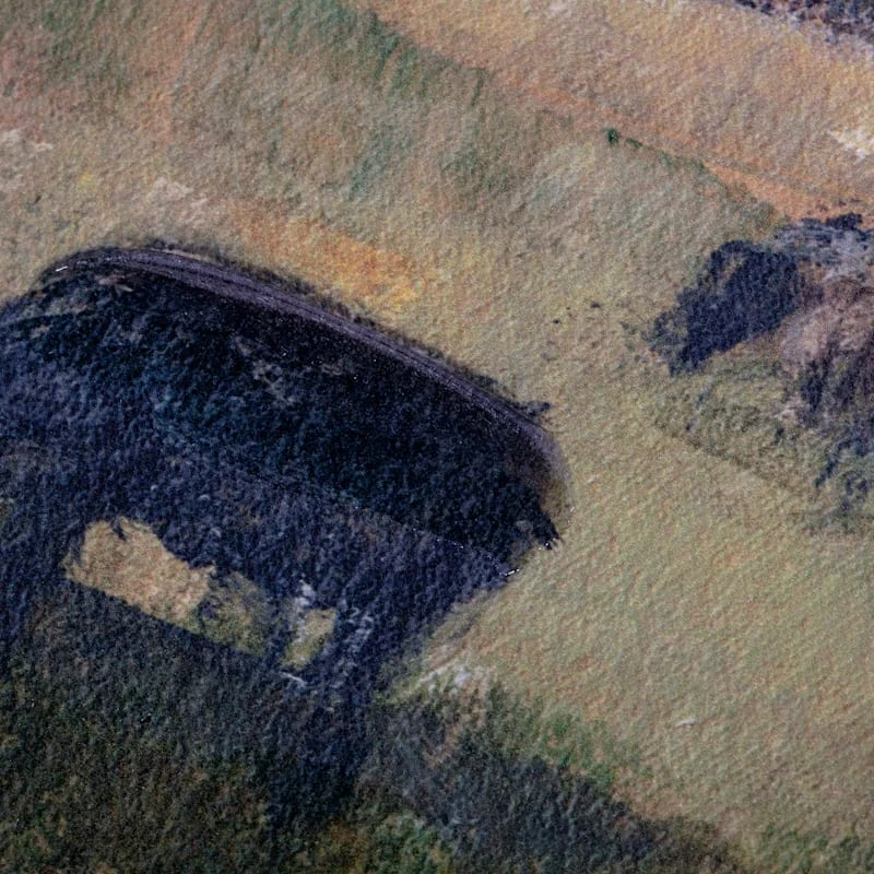 Honeybloom Sheep Canvas Wall Art, 36x24 3 Honeybloom Sheep Canvas Wall Art, 36x24 - Image 3