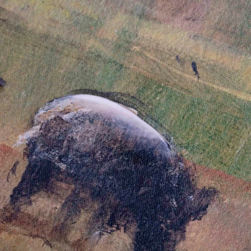 Honeybloom Sheep Canvas Wall Art, 36x24 4 Honeybloom Sheep Canvas Wall Art, 36x24 - Image 4