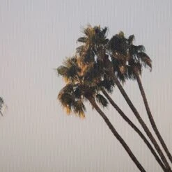 Hotel Palm Trees Canvas Wall Art, 20x16 -Luxeframe Shop hotel palm trees canvas wall art 20x16 3