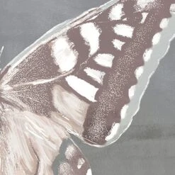 Laila Ali Butterfly 2-Piece Set Canvas Wall Art, 30x45 9 Laila Ali Butterfly 2-Piece Set Canvas Wall Art, 30x45 -Luxeframe Shop laila ali butterfly 2 piece set canvas wall art 30x45 5