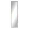 Light Pink Basic Leaner Mirror, 14x50 -Luxeframe Shop light pink basic leaner mirror 14x50 1