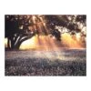 Morning Light Canvas Wall Art, 40x30 -Luxeframe Shop morning light canvas wall art 40x30 1