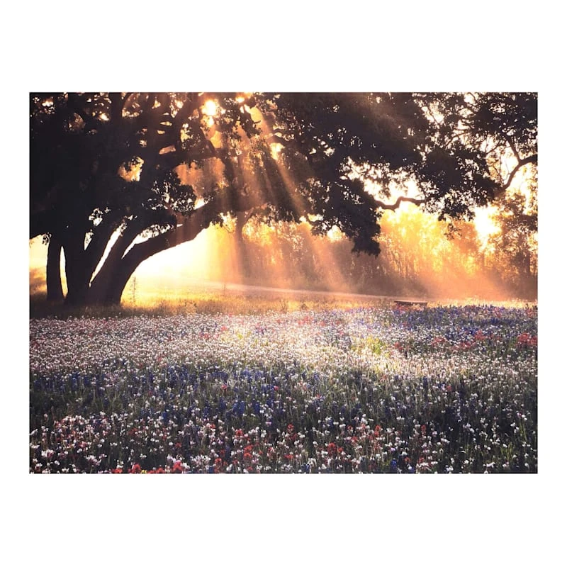 Morning Light Canvas Wall Art, 40x30 1 Morning Light Canvas Wall Art, 40x30
