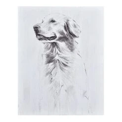 Providence Dog Canvas Wall Art, 11x14
