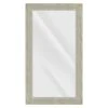 Silver & Grey Mirror, 30x54 -Luxeframe Shop silver grey mirror 30x54 1