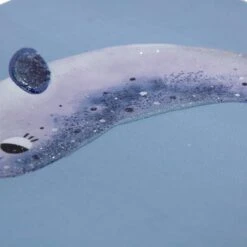 Tiny Dreamers Mermaid With Friends Canvas Wall Art, 8x20 -Luxeframe Shop tiny dreamers mermaid with friends canvas wall art 8x20 3