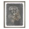 Tracey Boyd Glass Framed Botanical Print Wall Art, 19x25 -Luxeframe Shop tracey boyd glass framed botanical print wall art 19x25 1