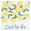 Tracey Boyd Zest For Life Canvas Wall Art, 12" -Luxeframe Shop tracey boyd zest for life canvas wall art 12