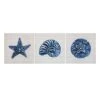Ty Pennington 3-Piece Seashell Canvas Wall Art, 6" -Luxeframe Shop ty pennington 3 piece seashell canvas wall art 6