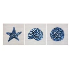 Ty Pennington 3-Piece Seashell Canvas Wall Art, 6"