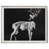 Ty Pennington Deer Print Wall Art, 30x24 -Luxeframe Shop ty pennington deer print wall art 30x24 1