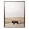 Ty Pennington Framed Buffalo Canvas Wall Art, 22x27