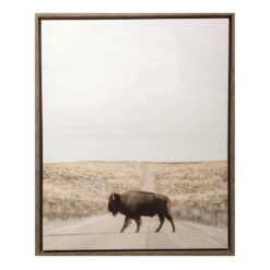 Ty Pennington Framed Buffalo Canvas Wall Art, 22x27