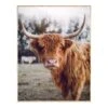 Ty Pennington Framed Highland Cow Canvas Wall Art, 24x30 -Luxeframe Shop ty pennington framed highland cow canvas wall art 24x30 1