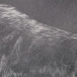 Ty Pennington Framed Moose Sketch Canvas Wall Art, 20x16 -Luxeframe Shop ty pennington framed moose sketch canvas wall art 20x16 4