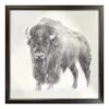 Ty Pennington Glass Framed Bison Print Wall Art, 26"