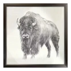 Ty Pennington Glass Framed Bison Print Wall Art, 26"