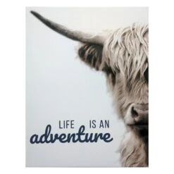Ty Pennington Life Is An Adventure Canvas Wall Art, 12x16