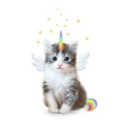 Unicorn Rainbow Kitten Canvas Wall Art, 12x16